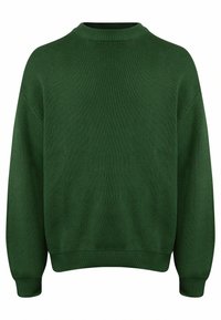 BASTIAN - Strickpullover - greener pastures