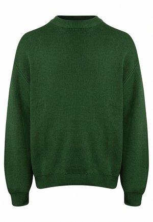 Redefined Rebel BASTIAN - Strickpullover - greener pastures