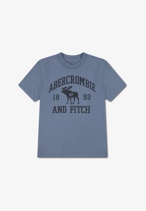 Abercrombie & Fitch, MOOSE LOCKUP TEE - Print T-shirt - flint stone