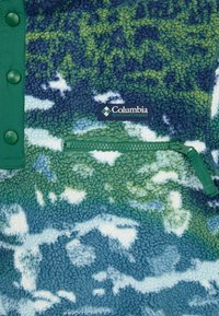 Columbia HELVETIA™ PRINTED HALF SNAP - Fleece jumper - everblue sisters/rain forest