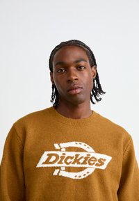 Brauner Strickpullover mit einem weißen Logomuster und dem Text "Dickies" auf der Brust. Rundhalsausschnitt und normale Passform.
