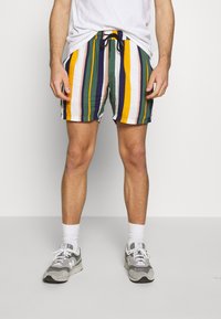 Costume da bagno a righe multicolori con strisce verticali verdi, gialle, bianche e viola. Include un elastico regolabile in vita.