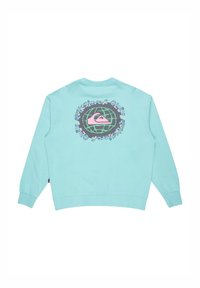 Mint green sweatshirt with a crew neck, long sleeves, and ribbed cuffs. Features a graphic print of a globe and logo on the back.