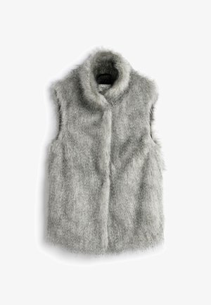 Chaleco de pelo sintético gris con cuello alzado, diseño sin mangas y textura suave. Presenta costuras mínimas y un brillo sutil.