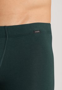 Hanro ESSENTIALS 2PACK - Úzké boxerky - laurel black