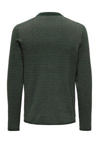 Pull en maille verte avec un motif texturé, manches longues, col rond et coupe légèrement ample. Vue arrière affichée.