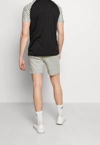 Diadora Urheilushortsit - light grey