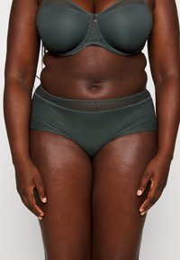 Dark green lingerie set featuring a textured, mesh bra with a central decoration and matching high-waisted briefs, both with a smooth finish.