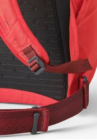 Détail d'un sac à dos rouge avec un dos en mesh noir rembourré, des bretelles réglables, et une sangle marron texturée contrastante avec une boucle en plastique.