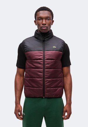 Uomo che indossa un gilet imbottito senza maniche nero e bordeaux sopra una camicia nera a maniche corte e pantaloni verdi, in piedi rivolto in avanti.