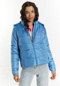 Giacca imbottita azzurro chiaro con zip frontale, cappuccio e polsini elastici. Presenta cuciture orizzontali e un design corto e cropped.