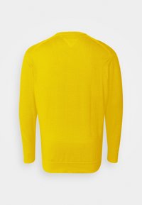 Tommy Hilfiger Sweter