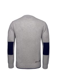 Maglione grigio chiaro a maniche lunghe con toppe ovali blu scuro sui gomiti e piccolo testo scuro vicino all'orlo inferiore sul lato destro posteriore.