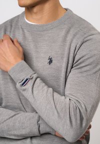 Grijze trui van zachte stof, met een geribbelde halslijn en manchetten, geborduurd logo op de borst en een gekleurde streep detail op de mouw.