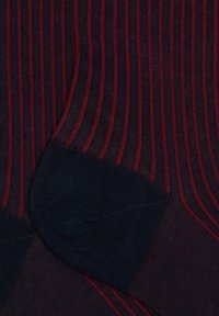 Calze blu navy con sottili strisce verticali rosse, dalla texture liscia e con punta e tallone rinforzati. Design neutro alla caviglia.