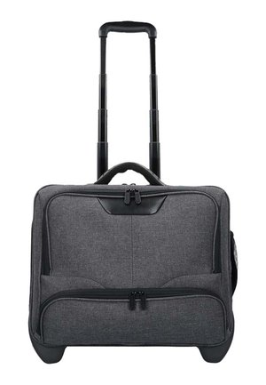 Luggage - gray