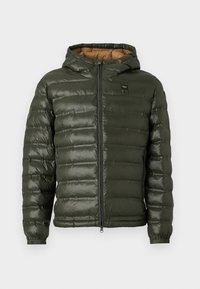 CHARLES - Veste d'hiver - forrest