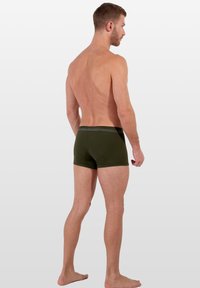 Zelené bavlněné boxerky se šedým elastickým páskem, přiléhavý střih bez viditelných vzorů, zobrazené zezadu.