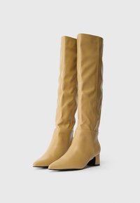 Ζευγάρι καφέ δερμάτινες μπότες μέχρι το γόνατο με μυτερές μύτες και χαμηλές μπαρέτες σε λευκό φόντο.