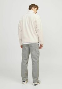 Jack & Jones JPSTKARL JJHARLOW NOOS - Kargopüksid - ultimate grey