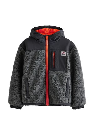 Superdry & Co REGULAR FIT - BORG ZIP THROUGH  - Flísová bunda - black