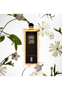 Bottiglia di profumo in vetro con forma rettangolare, etichetta nera e liquido dorato all'interno, circondata da fiori bianchi e foglie verdi.