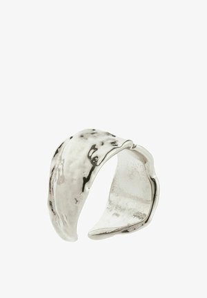 Pilgrim INSTANT - Auskari - silver-coloured