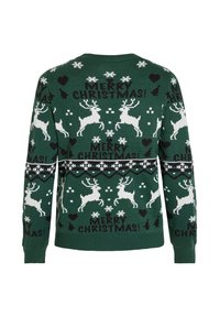 Pull vert avec des motifs de rennes blancs et de flocons de neige. Caractérisé par le texte "JOYEUX NOËL !", des poignets côtelés et une coupe décontractée.