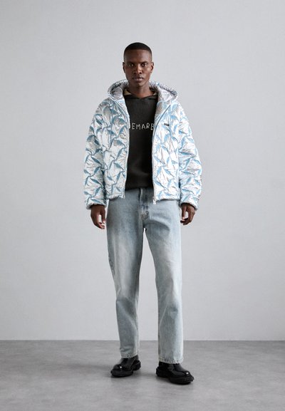 BLUEMARBLE HOODED EMBROIDERED - Casaco de inverno - reflective silver