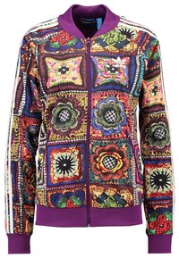 adidas Originals Träningsjacka - multi-coloured