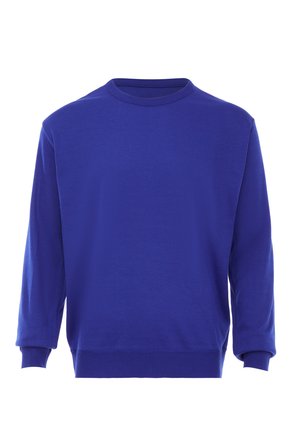 Blauwe sweatshirt met ronde hals, gemaakt van zacht materiaal, met lange mouwen en ribgebreide manchetten en onderrand. Eenvoudige, effen kleur zonder patronen.