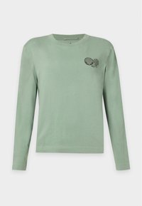 Δεν επιλέχθηκε, iceberg green