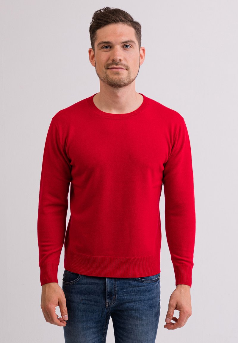 CASH-MERE RUNDHALS - Maglione - rot