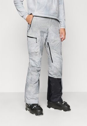PANTS REGULAR LENGTH DESCENT INSULATED - Suusapüksid - silver-coloured grey