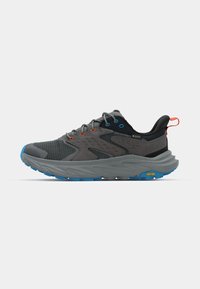 ANACAPA 2 LOW GTX - Obuća za pješačenje - satellite grey/black
