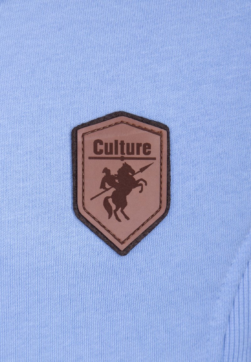 Herren Kapuzenpullover | Denim Culture Sweatjacke hell blau/hellblau - TB54215 Herren Kapuzenpullover | Denim Culture Sweatjacke hell blau/hellblau - TB54215