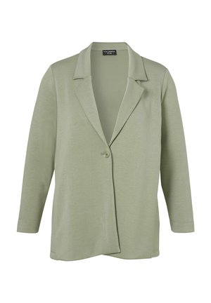 Hellgrüner Blazer mit langen Ärmeln, Reverskragen und einreihiger Knopfleiste vorne, hergestellt aus weichem, glattem Stoff.