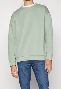 Ljusgrön sweatshirt med rund halsringning och ribbade muddar, tillverkad av mjukt material, i kombination med blå jeans för en avslappnad stil.