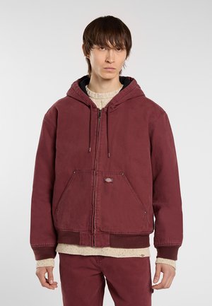 HILHAM HOODED - Light jacket - andorra