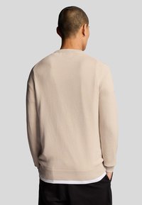 Beige knitted sweater with long sleeves, round neckline, and ribbed cuffs and hem, displayed on a person from the back against a gray background.