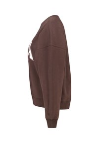 Brown sweatshirt with a crew neck and long sleeves. Features ribbed cuffs and hem, soft fabric texture, and prominent front graphic.