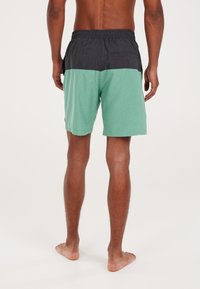 Protest PRTHELI - Shorts da mare - frosty green