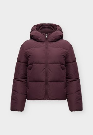 ONLY, ONLJUTA SHORT PUFFER OTW NOOS - Χειμωνιάτικο μπουφάν - fudge