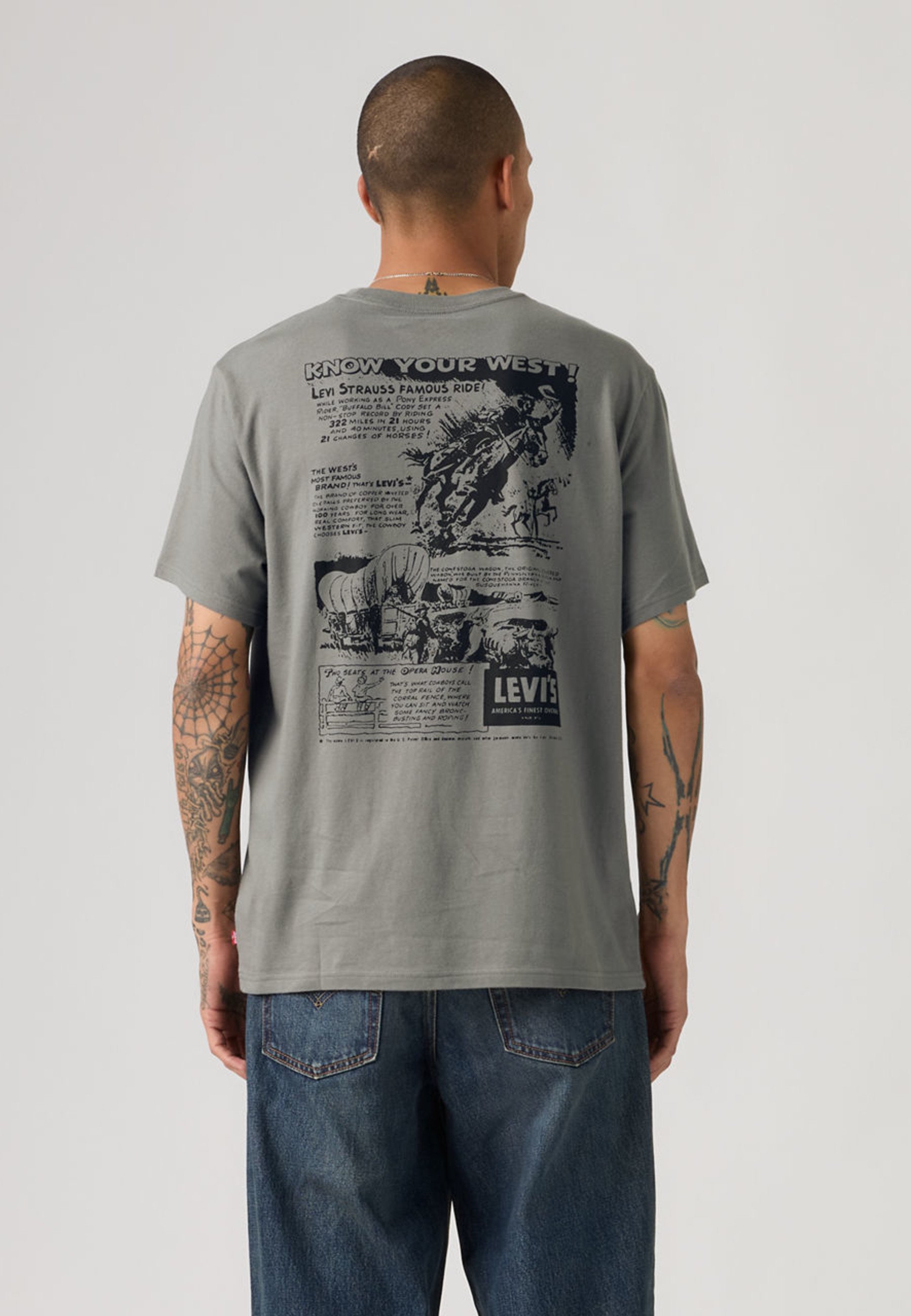 Levi