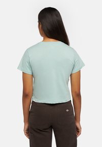 Dickies AITKIN - Camiseta estampada - blue surf