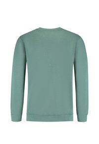 Sweatshirt met lange mouwen in zacht mintgroen. Voorzien van een ronde hals, geribbelde manchetten en een rechte zoom. Minimalistisch ontwerp, zonder afbeeldingen of patronen.