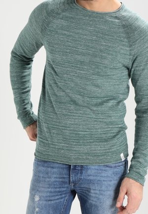 Uomo con maglione verde a maniche lunghe in maglia e jeans blu strappati, in piedi con una mano sul fianco su sfondo bianco.