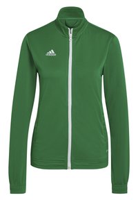 ENTRADA22 TRACK - Trainingsjacke - gruenweiss