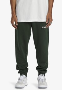 DC Shoes BASELINE - Verryttelyhousut - gzh mountain view