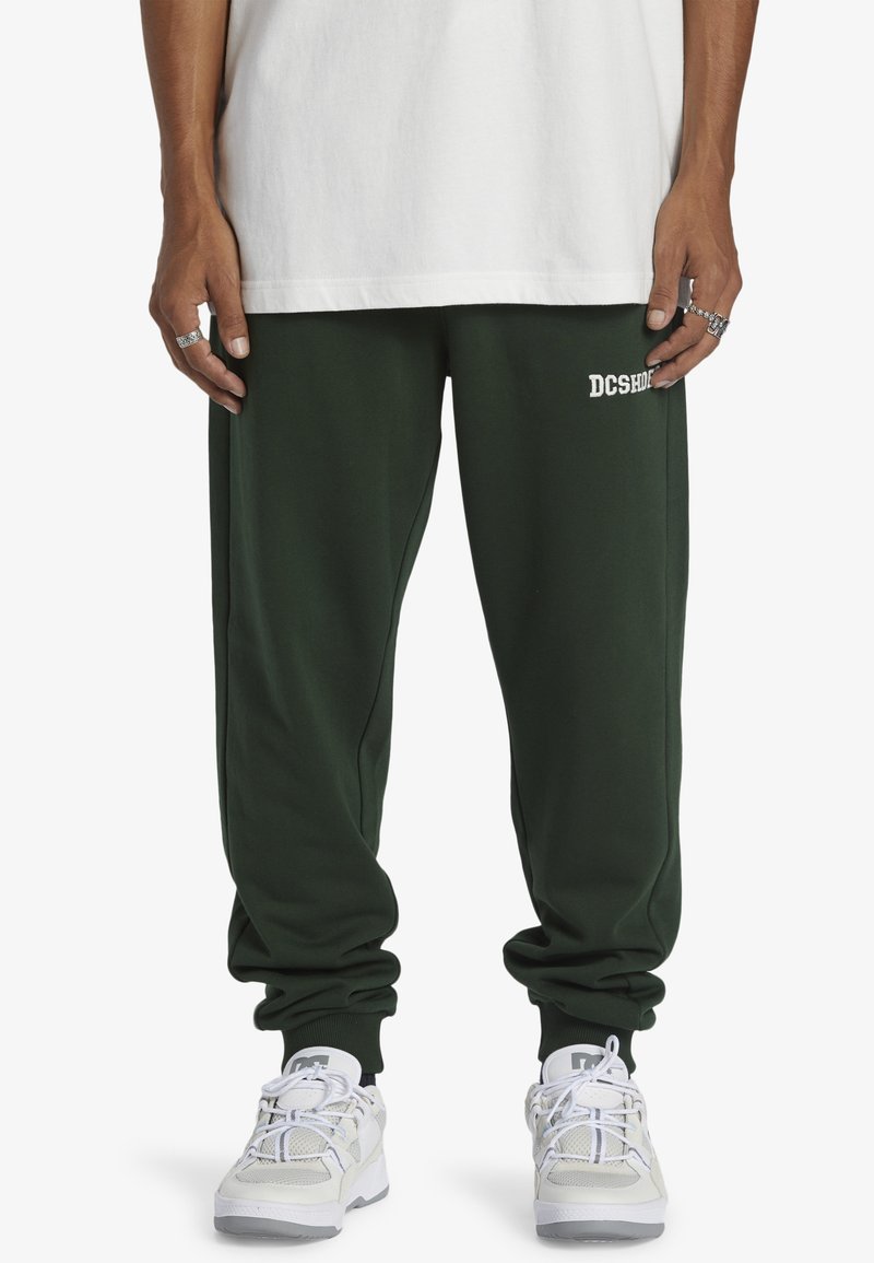 DC Shoes BASELINE - Verryttelyhousut - gzh mountain view